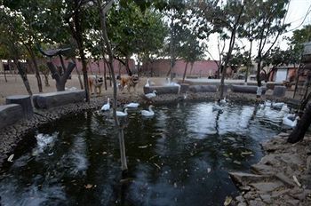 Swad Ri Dhani Ajmer Esterno foto